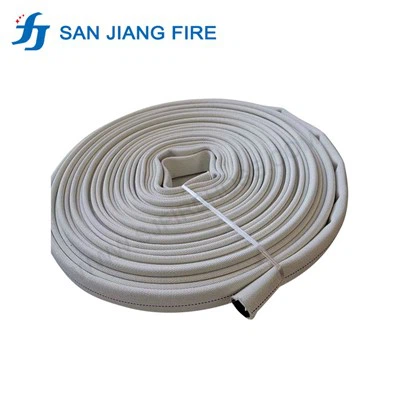 How do I test the functionality of a new Flyboard Hose?